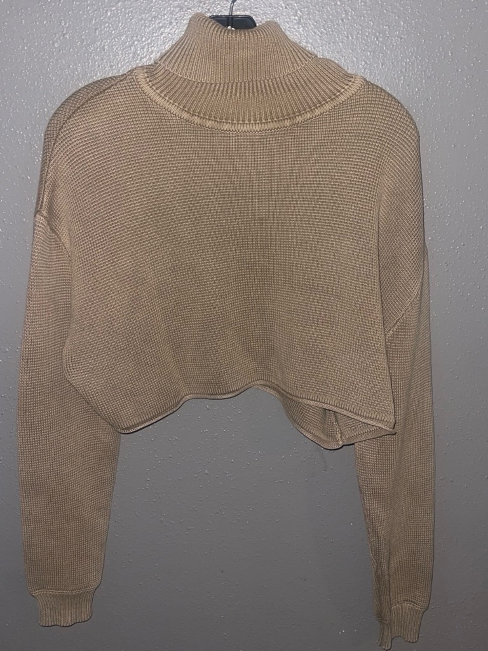 Zara Beige Cropped Turtleneck Sweater